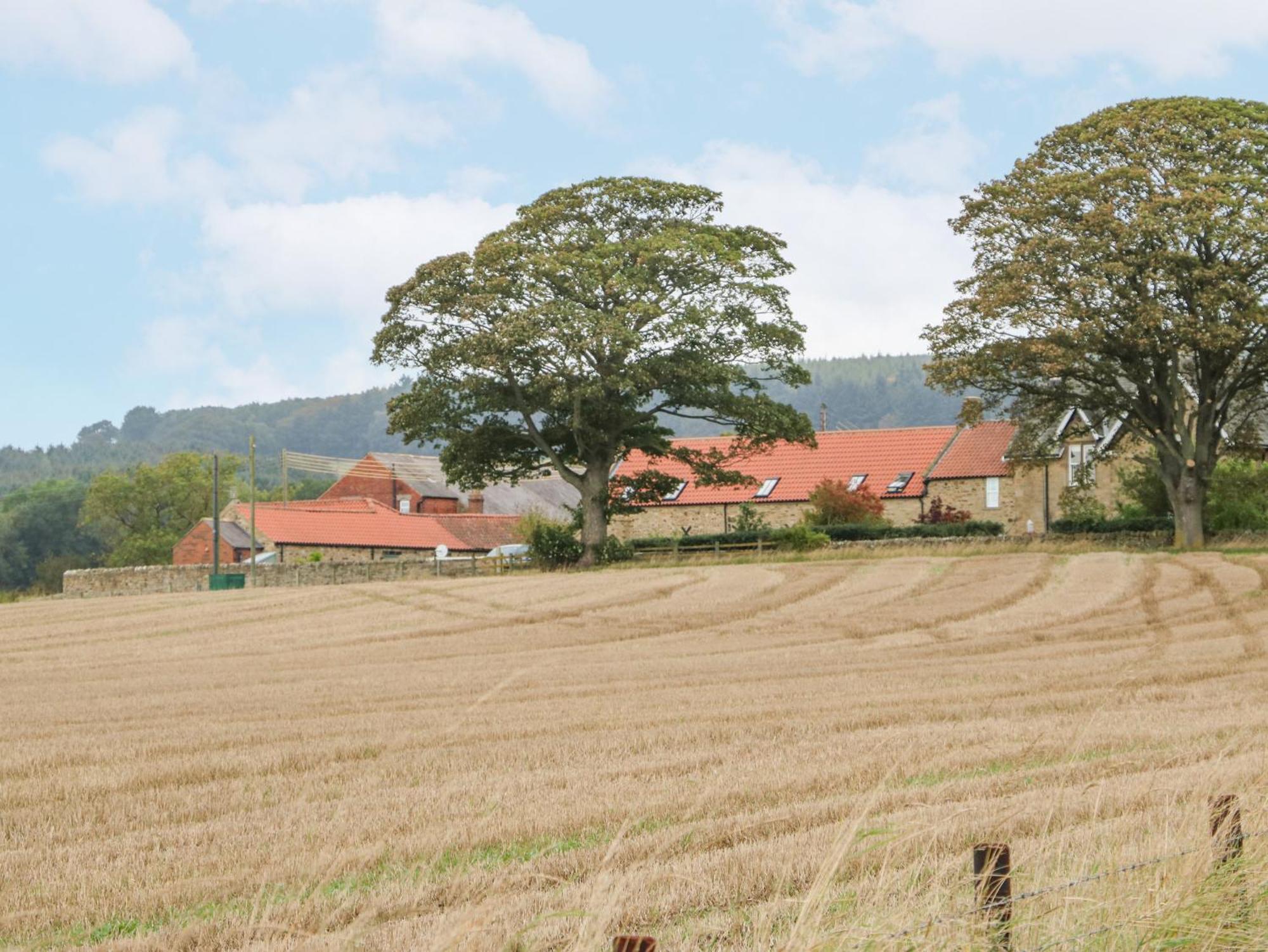 Sheep Pen Cottage Durham Extérieur photo